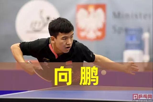 不仅仅是利 不仅仅是利