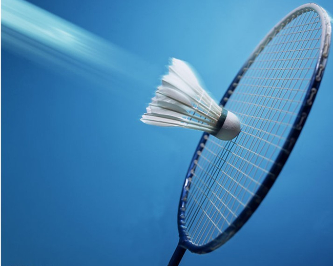 其提供合理 其提供合理