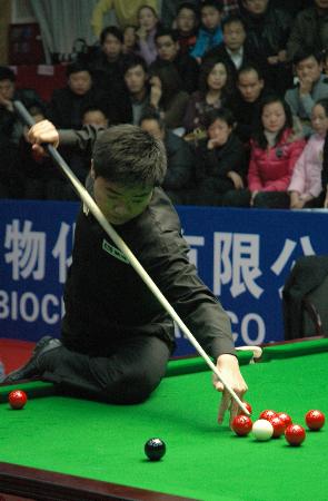 适应能力 适应能力